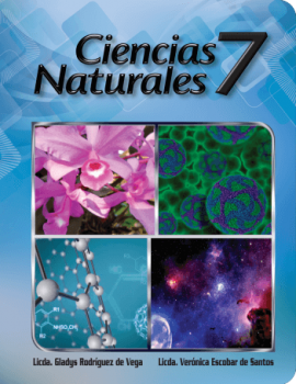 CCNN 7