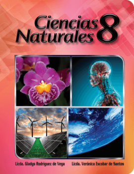 CCNN 8