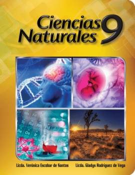 CCNN 9
